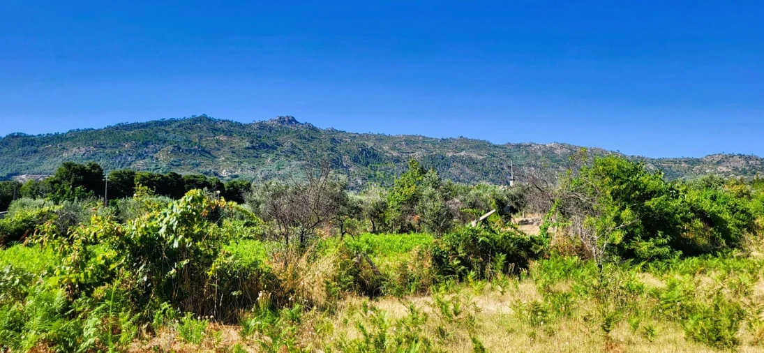 Quinta T0 para Venda em Louriçal do Campo Foto 9