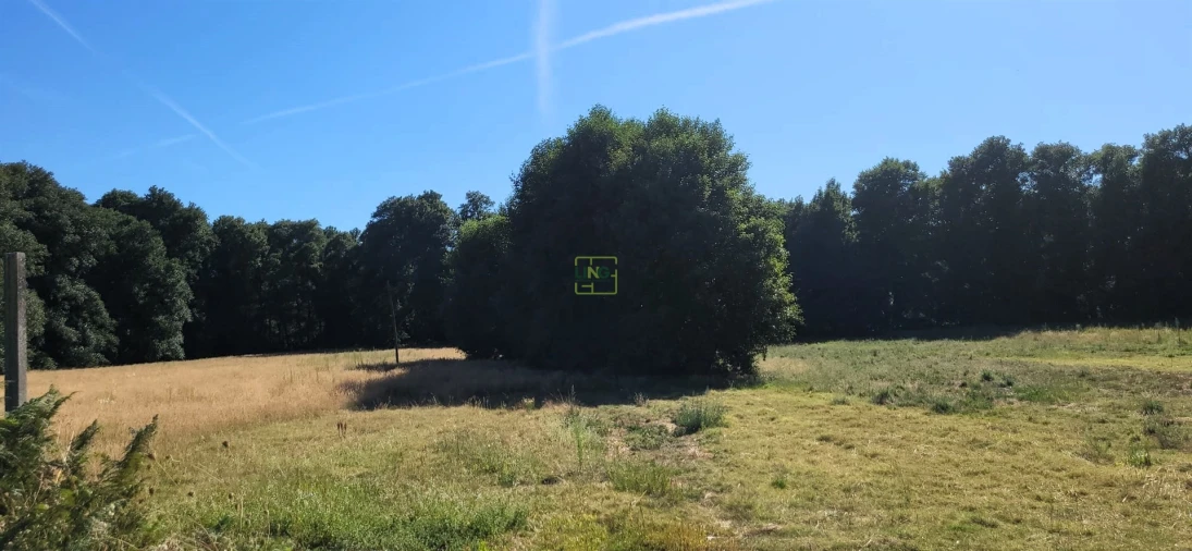 Quinta T0 para Venda em Louriçal do Campo Foto 17