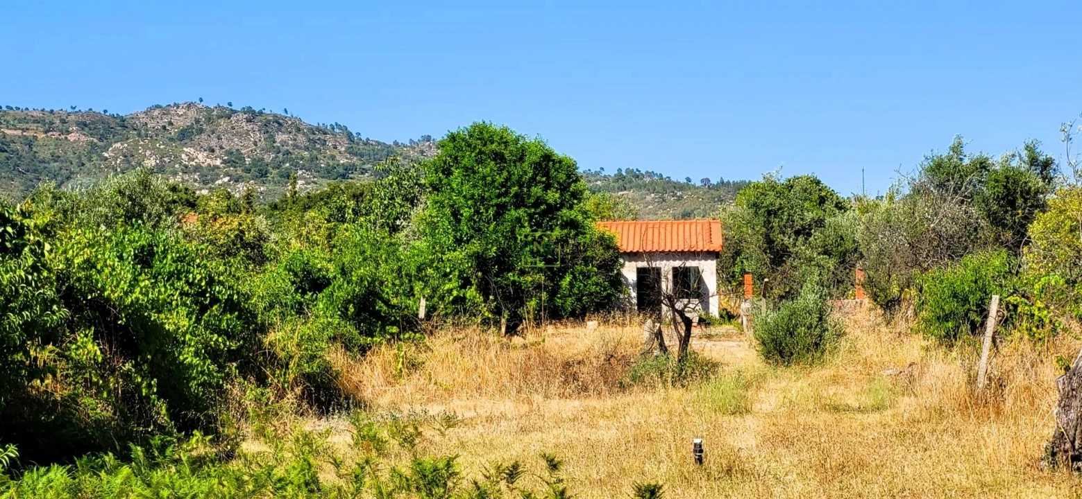 Quinta T0 para Venda em Louriçal do Campo Foto 10