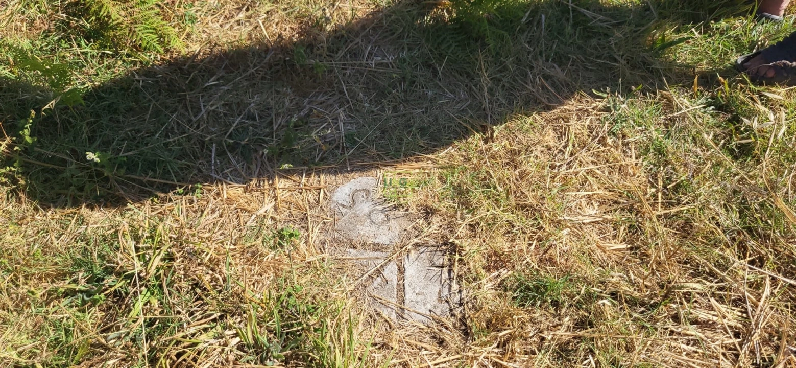 Quinta T0 para Venda em Louriçal do Campo Foto 33