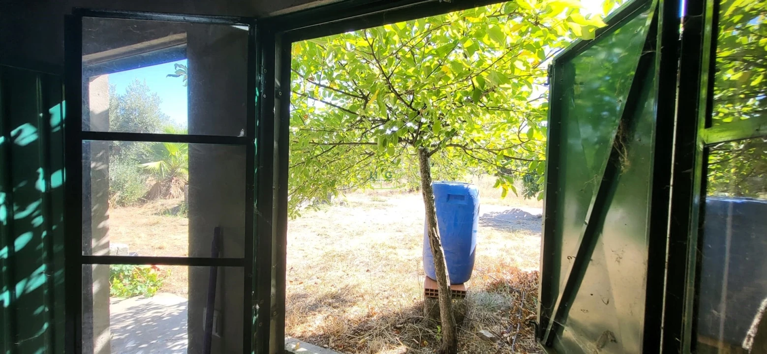 Quinta T0 para Venda em Louriçal do Campo Foto 27