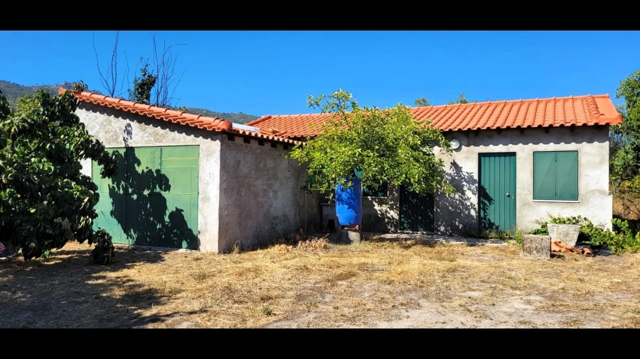 Quinta T0 para Venda em Louriçal do Campo