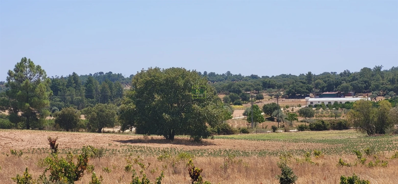 Terreno Agricola ou Rústico para Venda em Tinalhas Foto 12