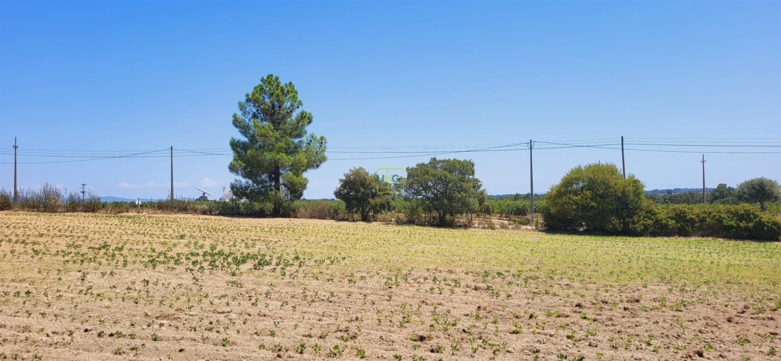 Terreno Agricola ou Rústico para Venda em Tinalhas Foto 19