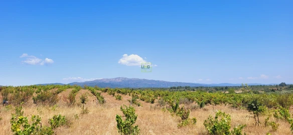 Terreno Agricola ou Rústico para Venda em Tinalhas