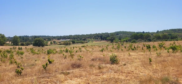 Terreno Agricola ou Rústico para Venda em Tinalhas