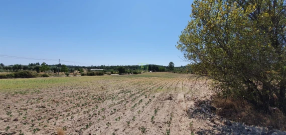 Terreno Agricola ou Rústico para Venda em Tinalhas