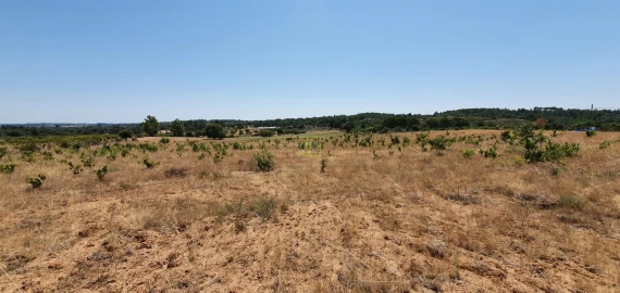 Terreno Agricola ou Rústico para Venda em Tinalhas