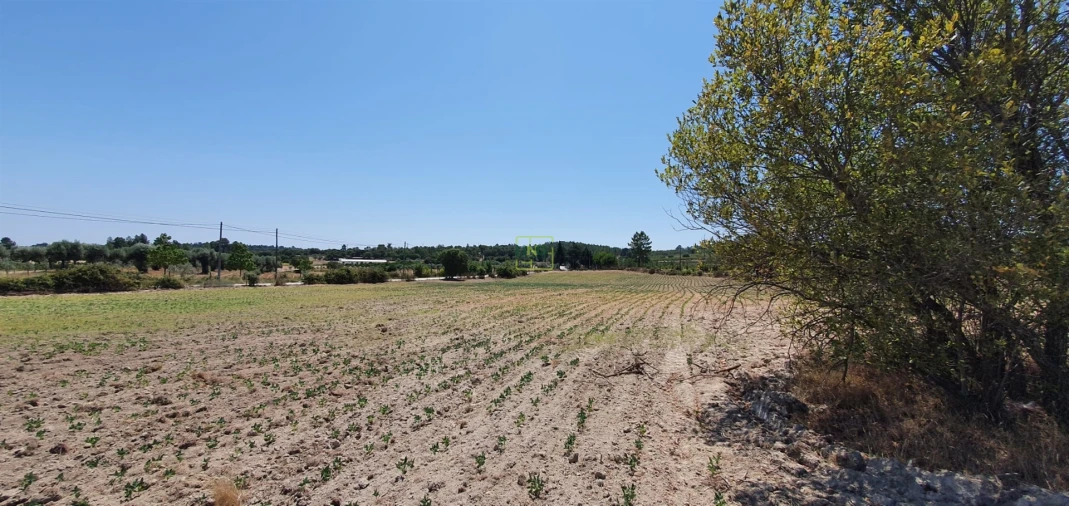 Terreno Agricola ou Rústico para Venda em Tinalhas Foto 29