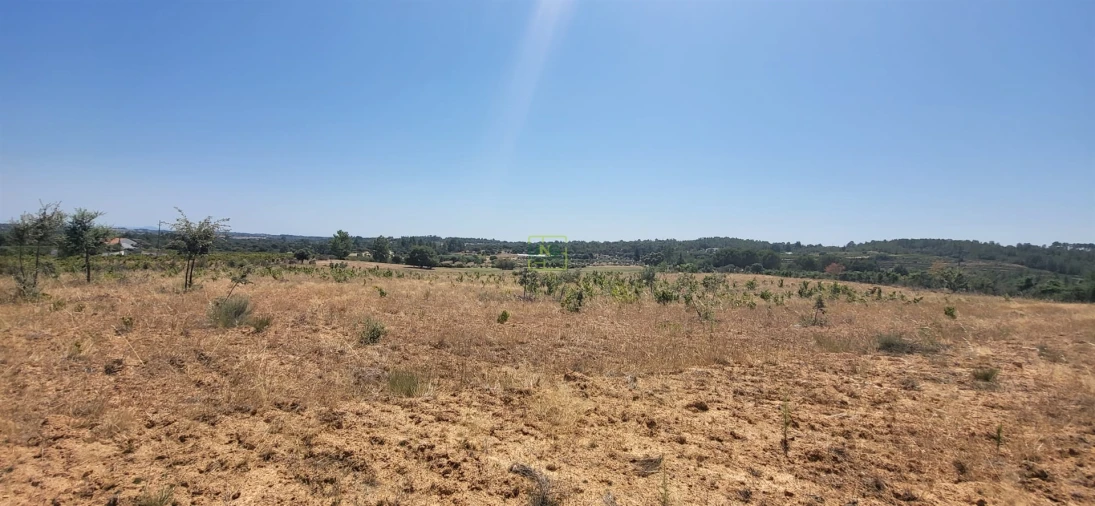 Terreno Agricola ou Rústico para Venda em Tinalhas Foto 3