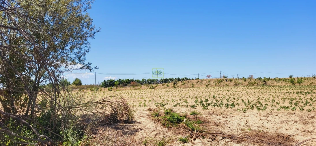 Terreno Agricola ou Rústico para Venda em Tinalhas Foto 16