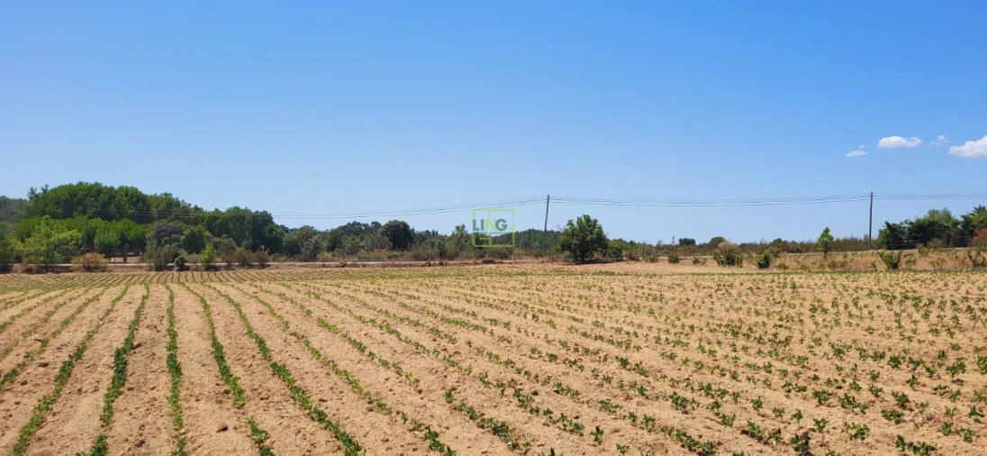 Terreno Agricola ou Rústico para Venda em Tinalhas Foto 17
