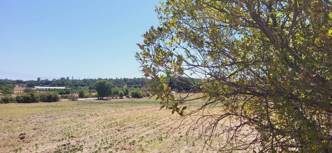 Terreno Agricola ou Rústico para Venda em Tinalhas Foto 18