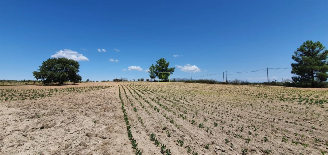 Terreno Agricola ou Rústico para Venda em Tinalhas Foto 28