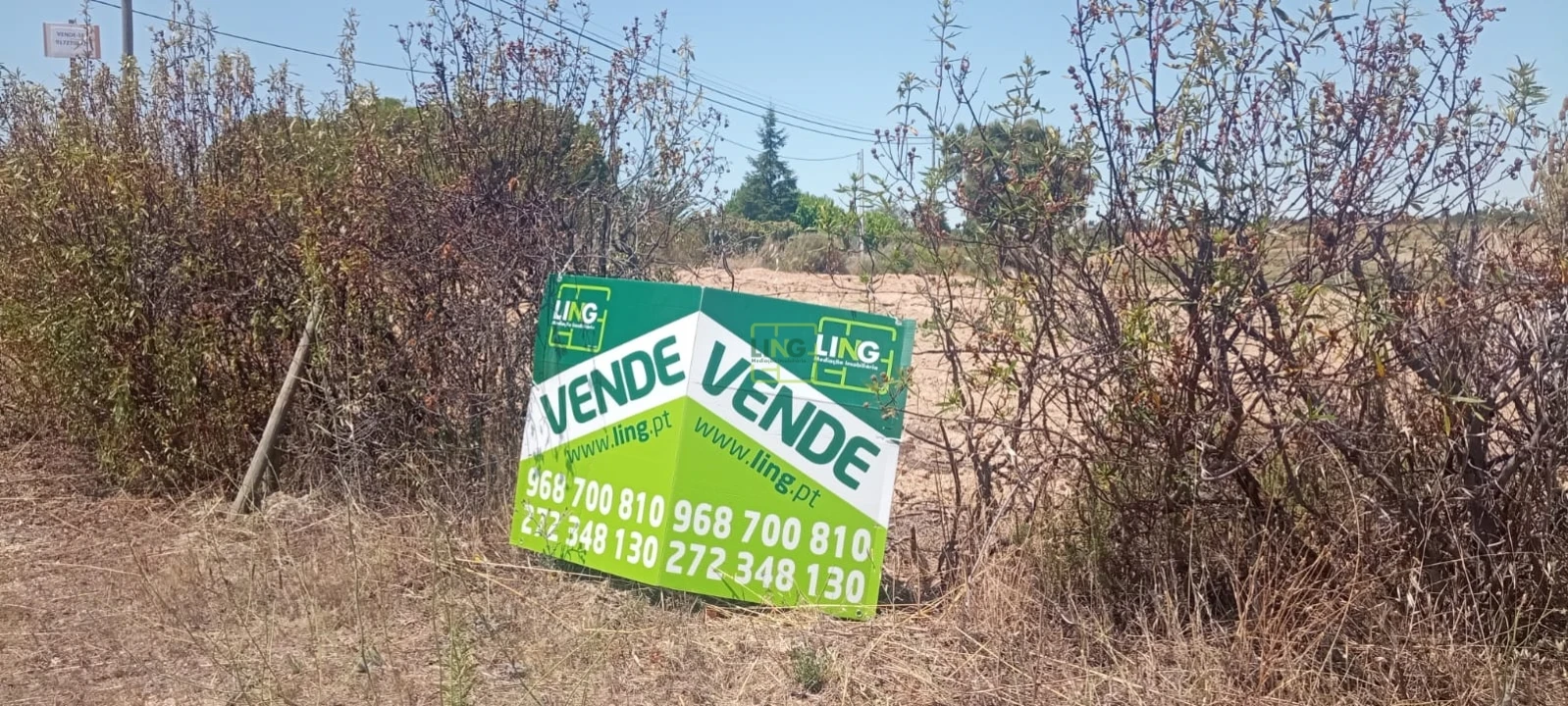 Terreno Agricola ou Rústico para Venda em Tinalhas Foto 27