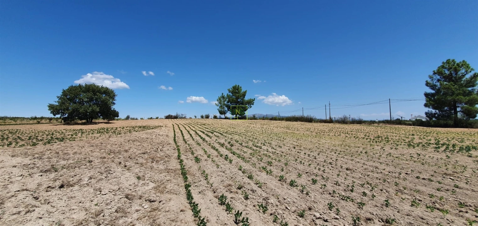 Terreno Agricola ou Rústico para Venda em Tinalhas Foto 28