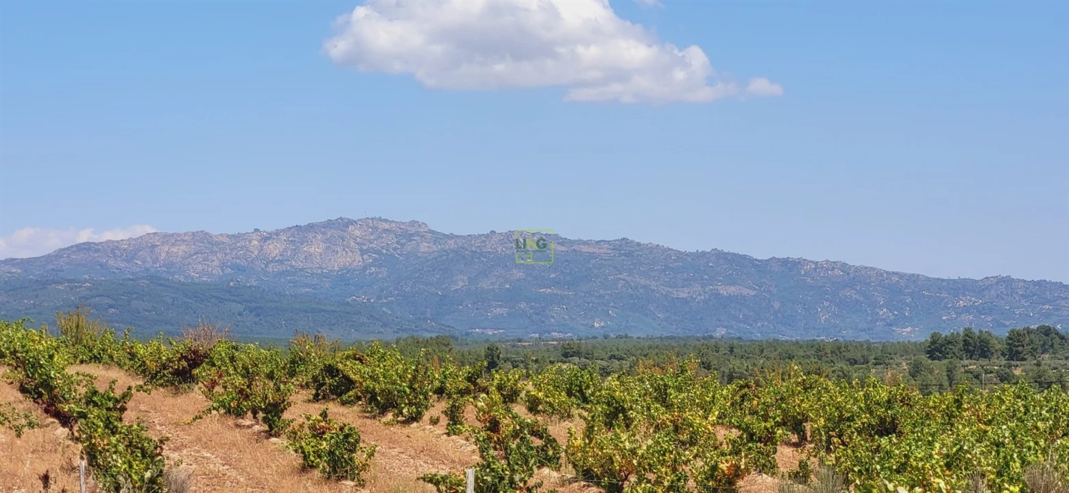 Terreno Agricola ou Rústico para Venda em Tinalhas Foto 1