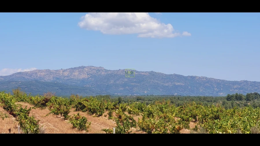 Terreno Agricola ou Rústico para Venda em Tinalhas