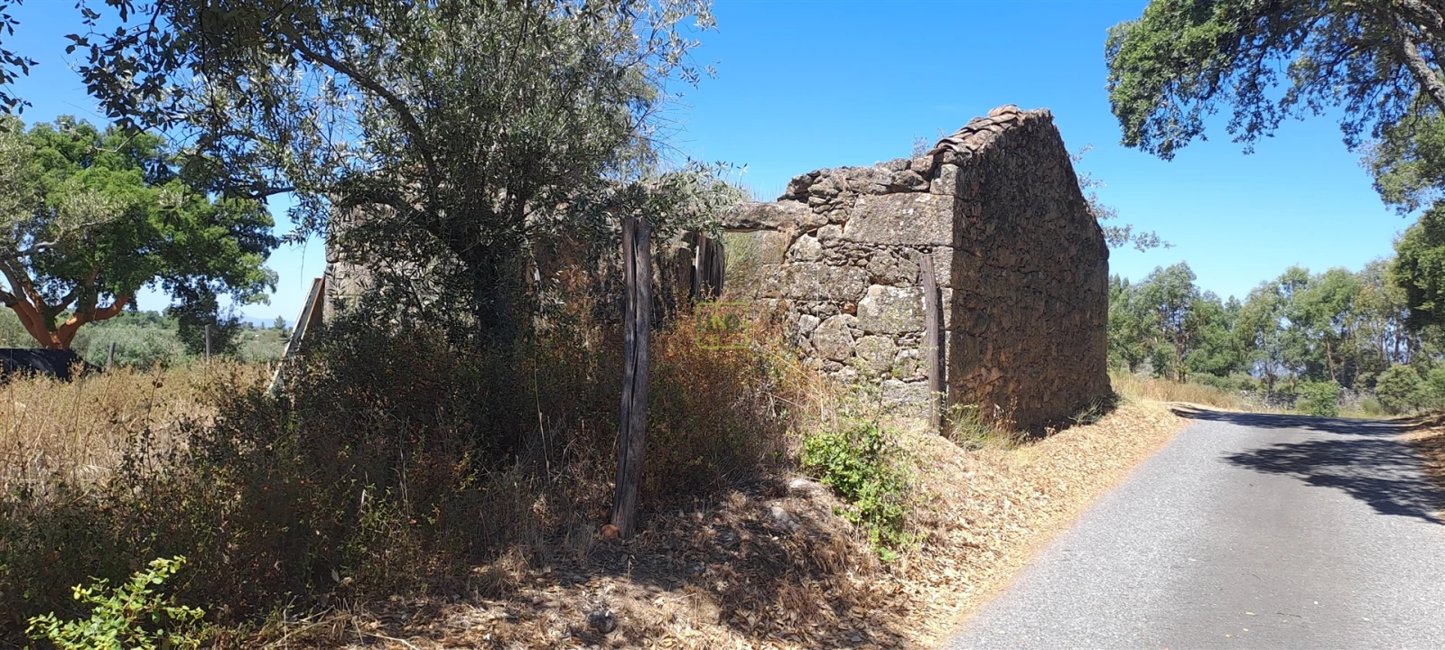 Terreno Agricola ou Rústico para Venda em São Miguel de Acha Foto 4