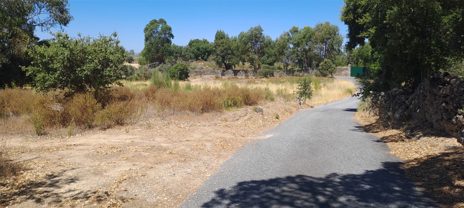 Terreno Agricola ou Rústico para Venda em São Miguel de Acha Foto 12