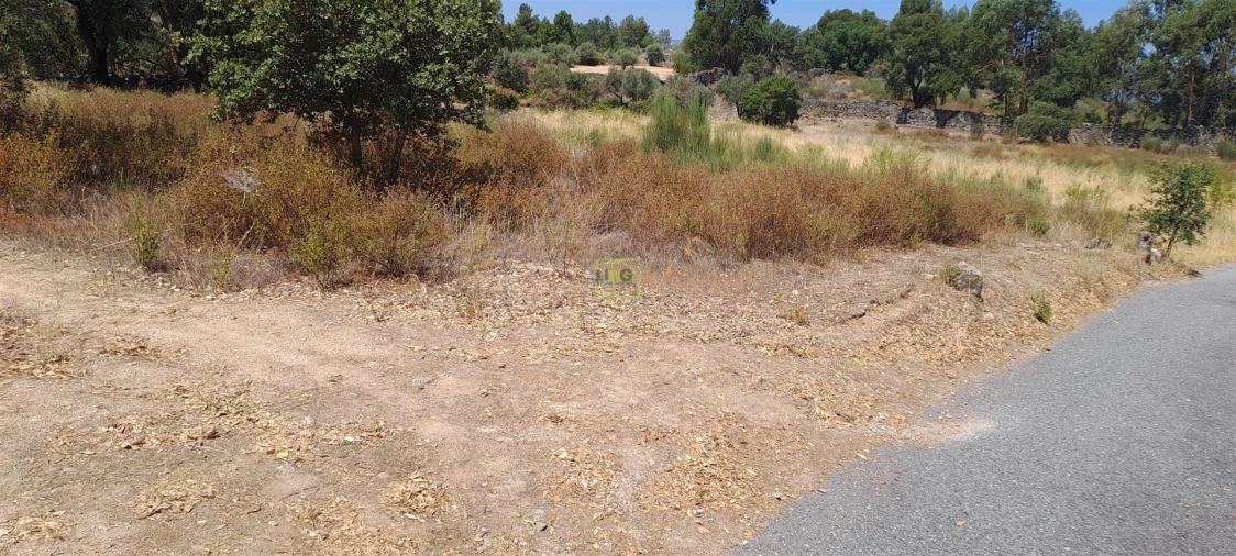 Terreno Agricola ou Rústico para Venda em São Miguel de Acha Foto 11