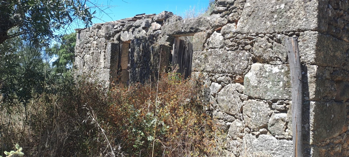 Terreno Agricola ou Rústico para Venda em São Miguel de Acha Foto 2
