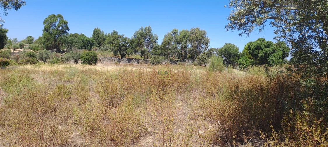 Terreno Agricola ou Rústico para Venda em São Miguel de Acha Foto 9