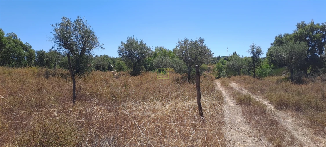 Terreno Agricola ou Rústico para Venda em São Miguel de Acha Foto 6