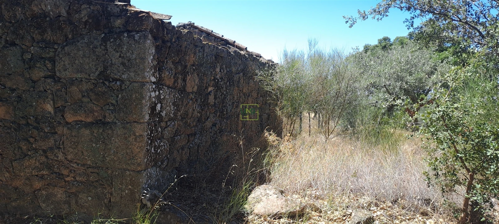Terreno Agricola ou Rústico para Venda em São Miguel de Acha Foto 1