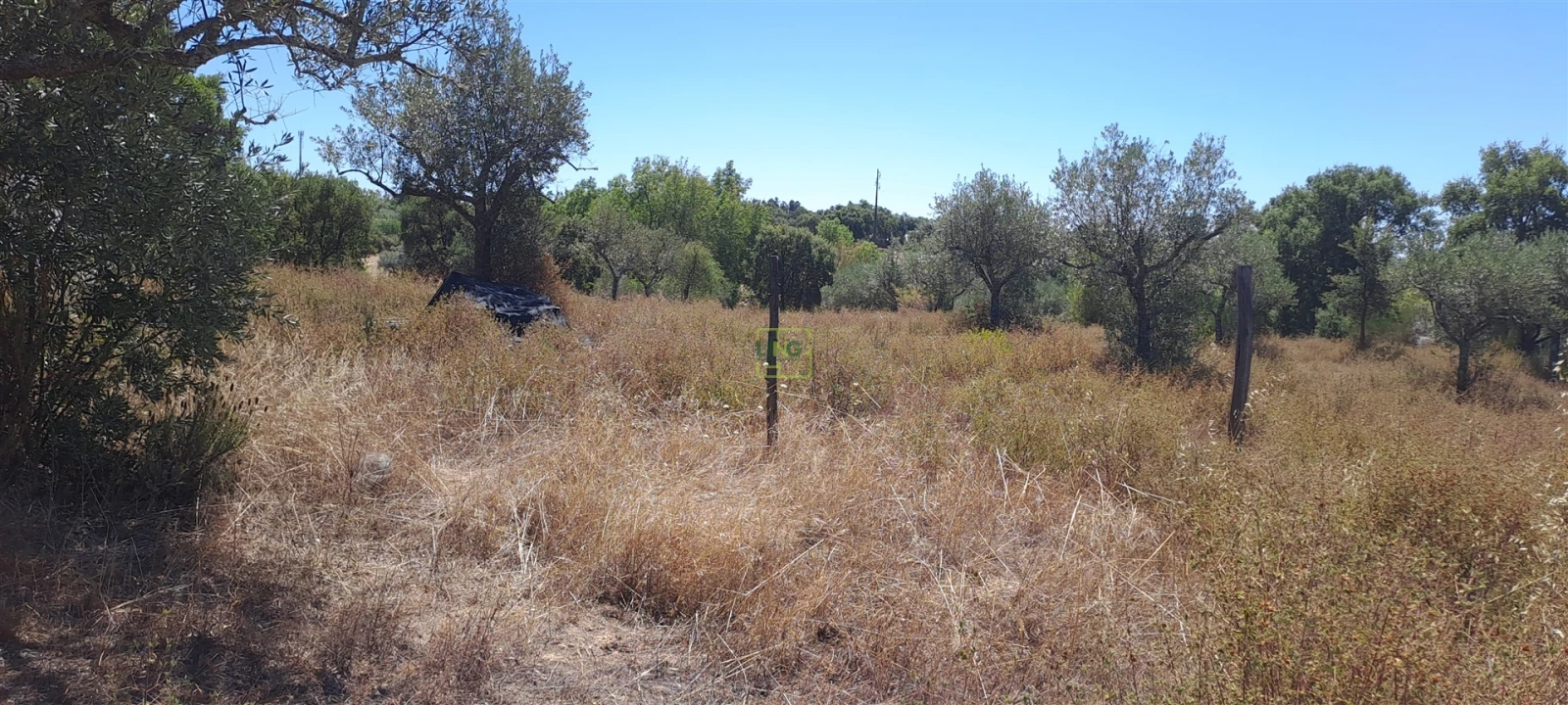 Terreno Agricola ou Rústico para Venda em São Miguel de Acha Foto 7
