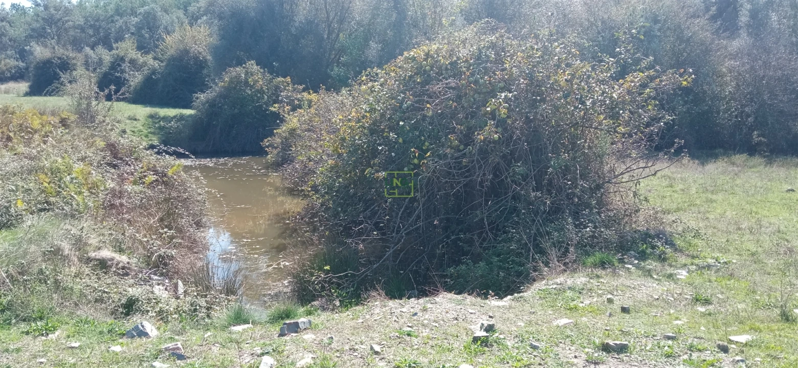 Quinta T0 para Venda em Penamacor Foto 16