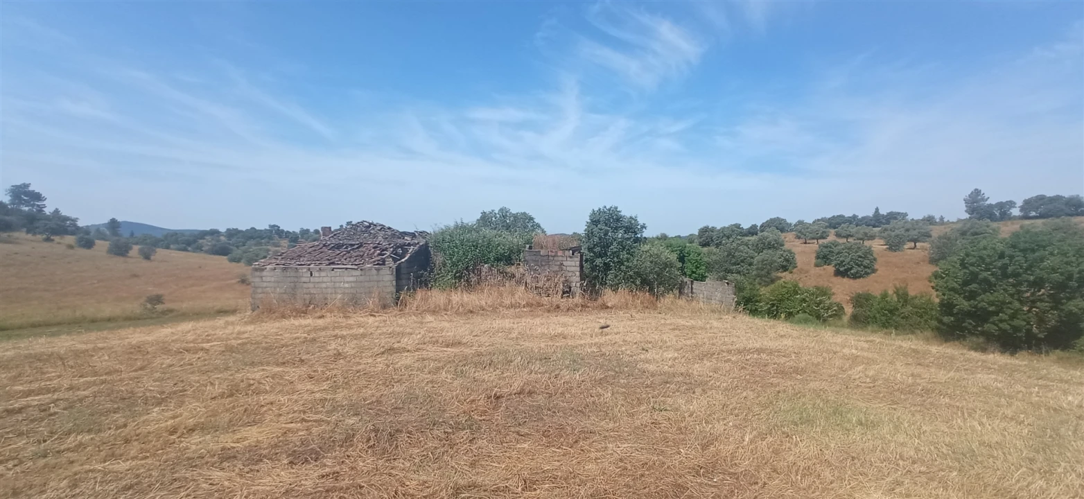 Quinta T0 para Venda em Penamacor Foto 23