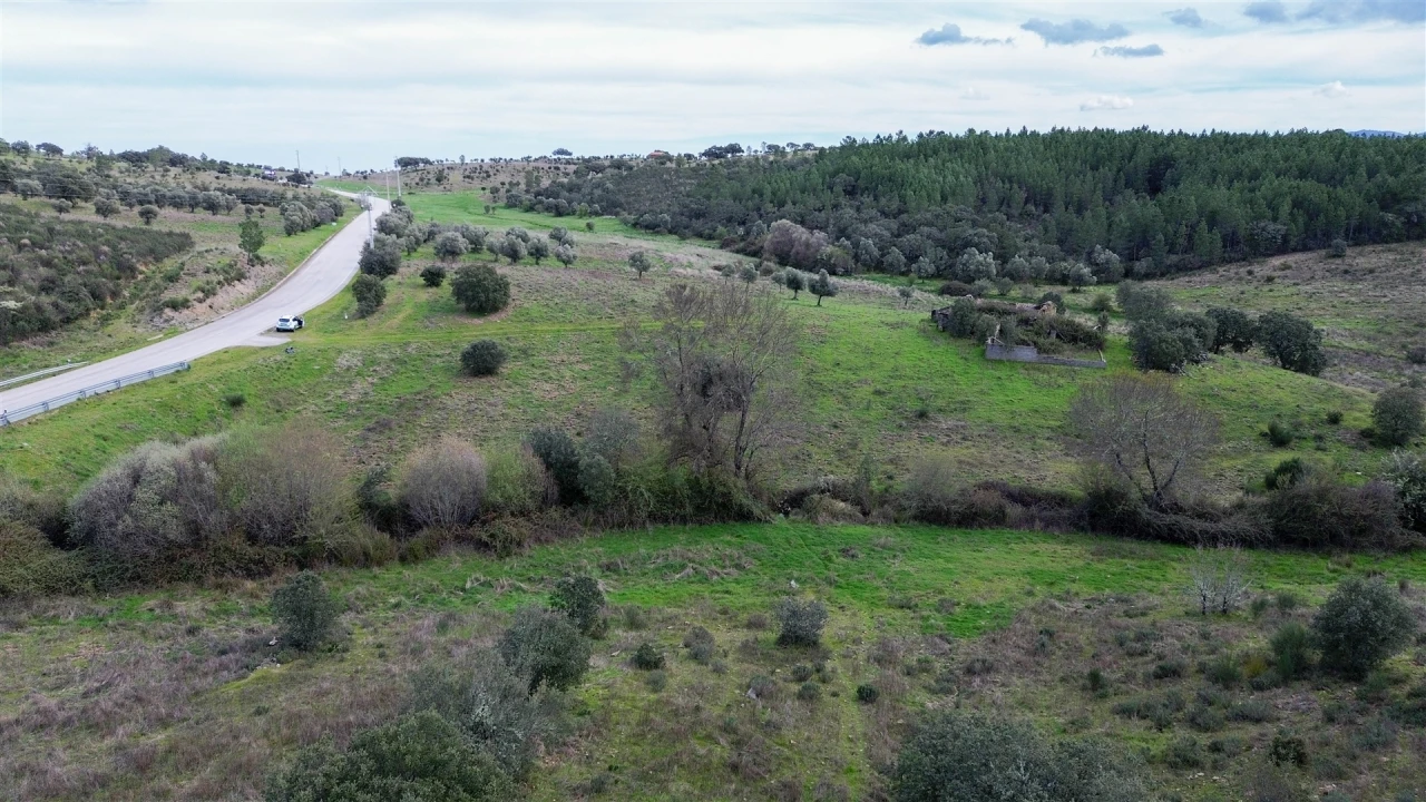 Quinta T0 para Venda em Penamacor Foto 52