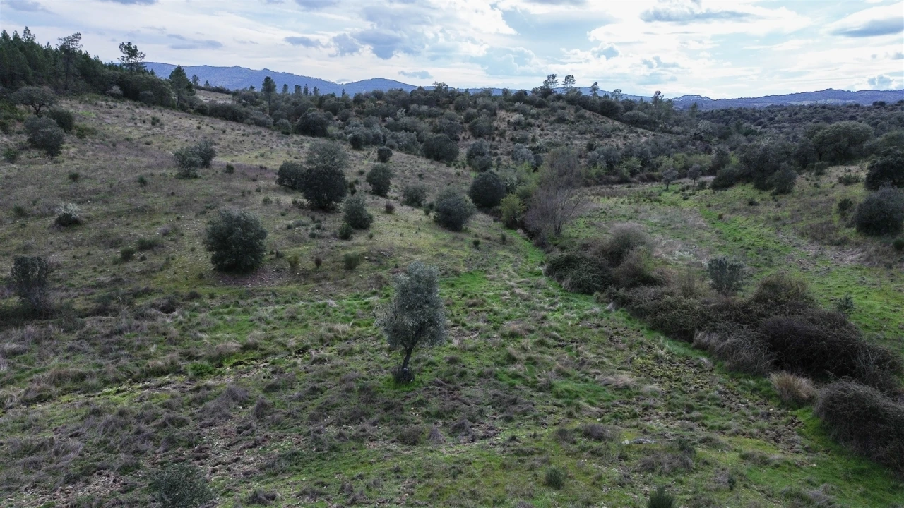 Quinta T0 para Venda em Penamacor Foto 56