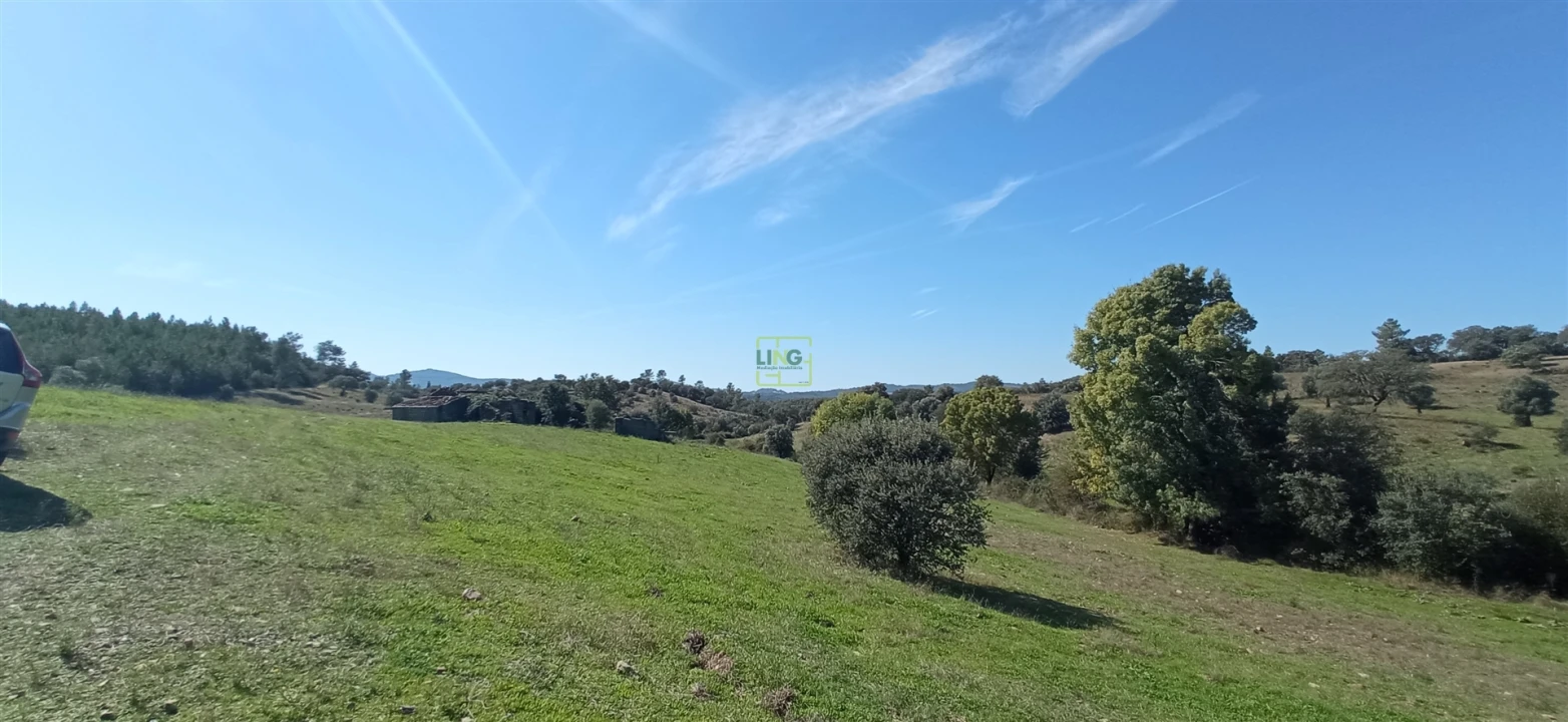 Quinta T0 para Venda em Penamacor Foto 12