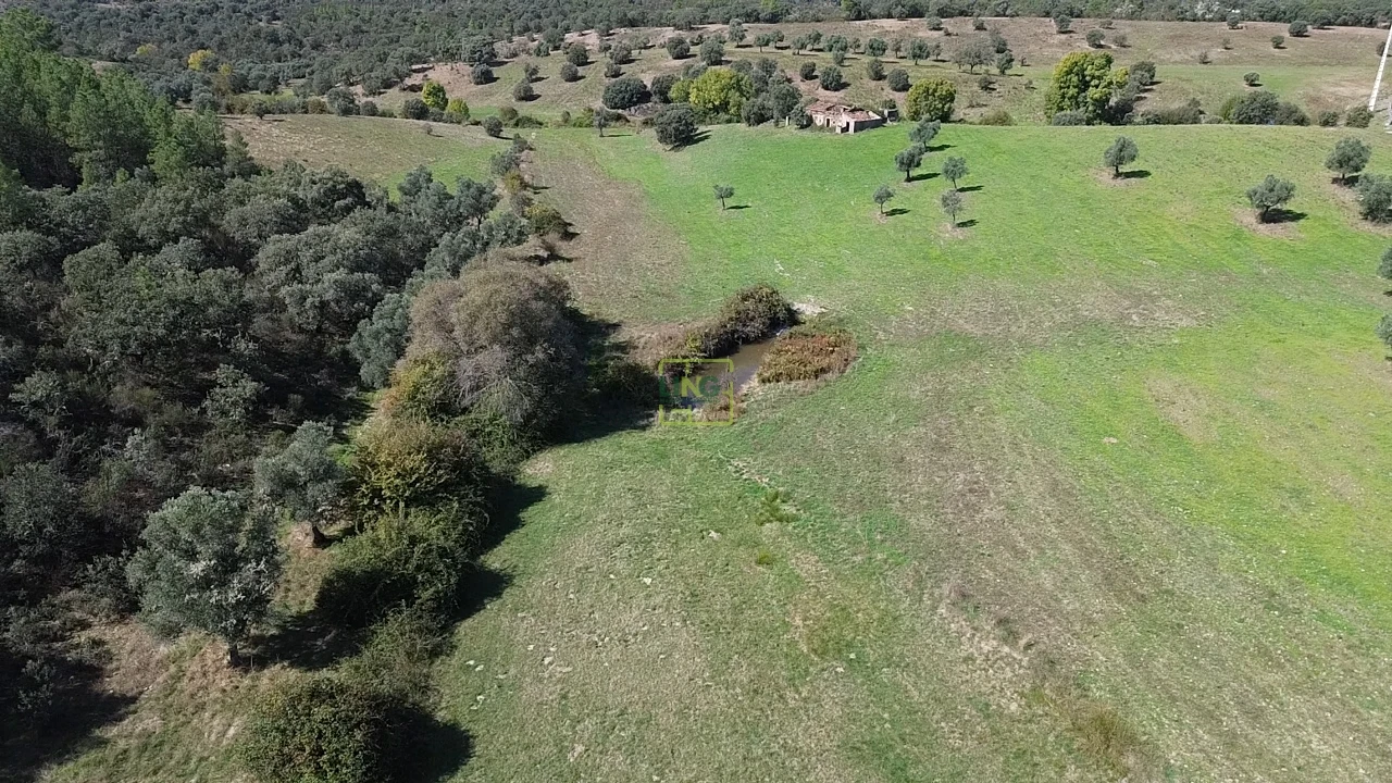 Quinta T0 para Venda em Penamacor Foto 18