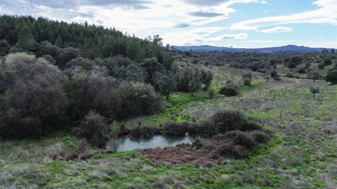 Quinta T0 para Venda em Penamacor Foto 47