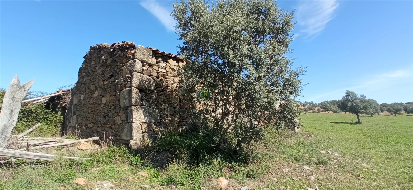 Quinta T0 para Venda em Penamacor Foto 5