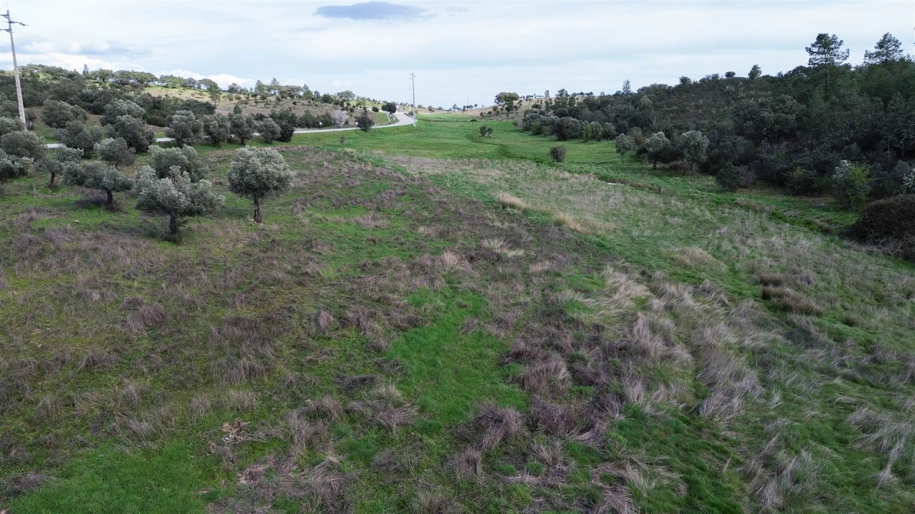 Quinta T0 para Venda em Penamacor Foto 46