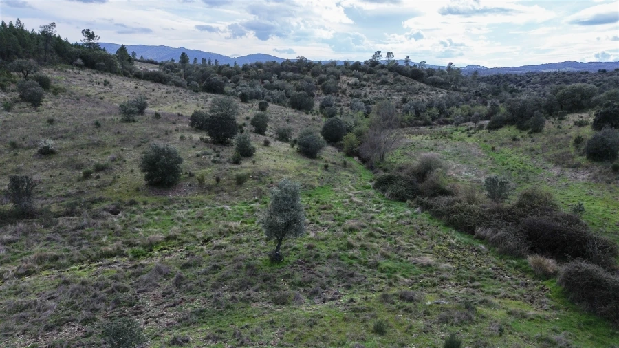 Quinta T0 para Venda em Penamacor Foto 56