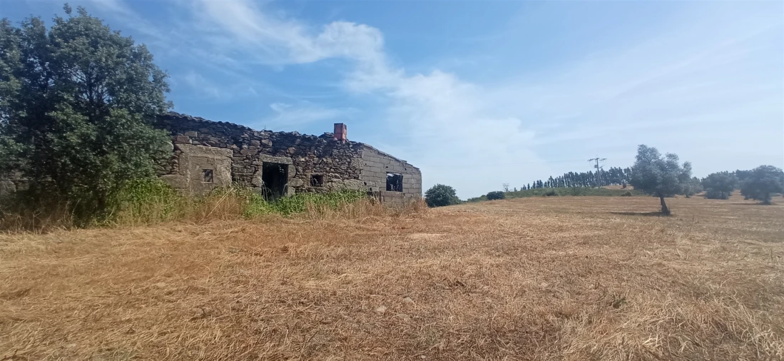 Quinta T0 para Venda em Penamacor Foto 22