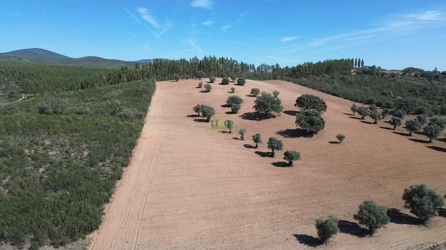 Quinta T0 para Venda em Penamacor Foto 20