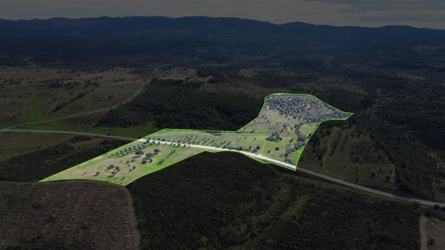 Quinta T0 para Venda em Penamacor Foto 29