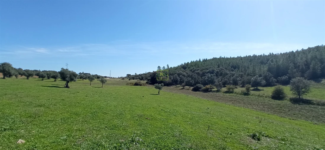 Quinta T0 para Venda em Penamacor Foto 8