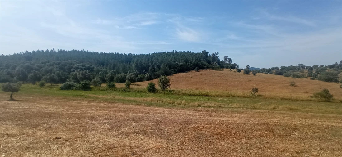 Quinta T0 para Venda em Penamacor Foto 25