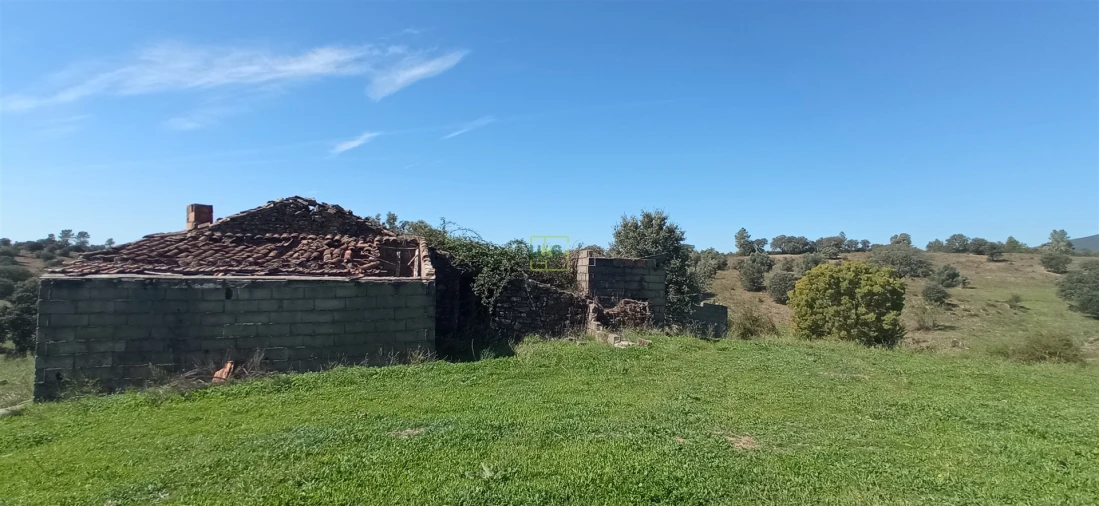 Quinta T0 para Venda em Penamacor Foto 4