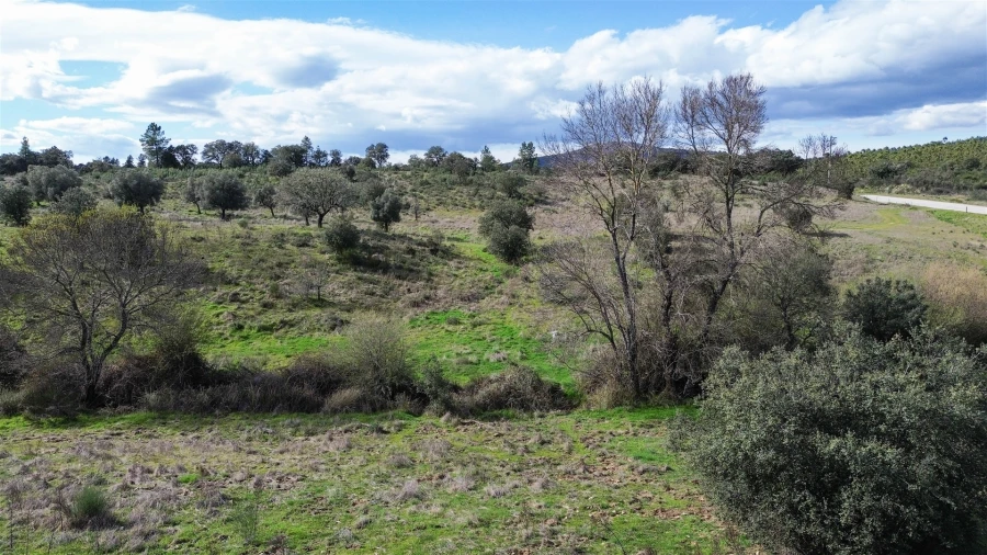 Quinta T0 para Venda em Penamacor Foto 37