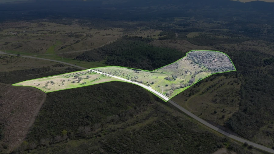 Quinta T0 para Venda em Penamacor Foto 31