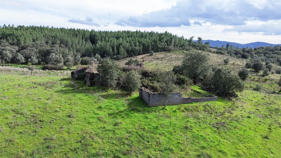 Quinta T0 para Venda em Penamacor Foto 34