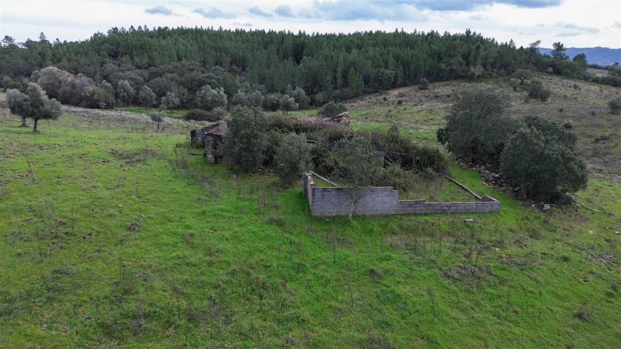 Quinta T0 para Venda em Penamacor Foto 54